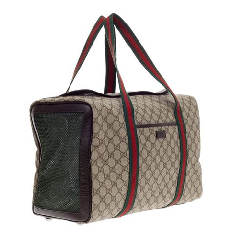 gucci backpack cat|Gucci pet carrier for sale.